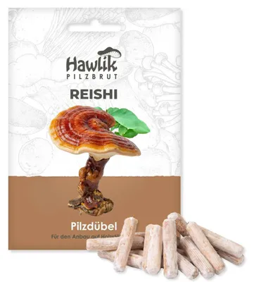 Produktbild von Hawlik Pilzbrut Reishi Dübel – 20 Pilzdübel, Ganoderma lucidum Pilze anbauen auf Holzstamm