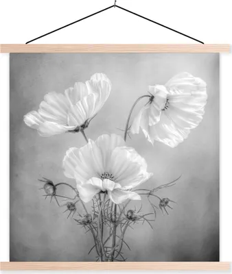 Produktbild von MuchoWow® Textilposter Stilleben - Blumen - Schwarz und weiß - Mohn - Botanisch 40x40 cm mit holzfarbenen Rahmen - Posterleiste