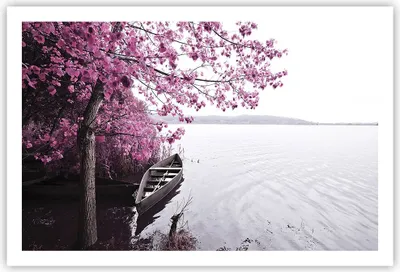 Produktbild von Poster - Poster ohne Rahmen - See Rosa Bäume - 91,5x61 cm - Wand Bild - Wanddeko - Wandbilder - Kunstposter - Wandposter - Bilder - Kunstdruck - Wanddekoration - Wandbild - P2XAA91x61-4147