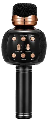 Image de Microphone de karaoké sans fil, Bluetooth 5.0, effets vocaux, modèle W5205