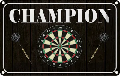 Produktbild von vianmo Blechschild 20x30 cm Darts Champion Sport Hobby