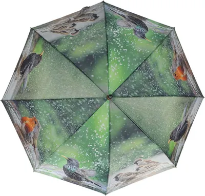 Obrázok produktu pre Esschert Design Dáždnik s kúpajúcimi sa vtákmi Ø 119,5 cm