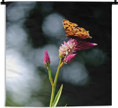 Produktbild von MuchoWow® Wandteppich Wandbehang Schmetterling - Blumen - Insekten 150x150 cm Tapisserie Dekoration Wandtuch - Wohnaccessoires - Modernes