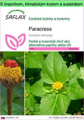 Obrázok produktu pre SAFLAX Garden to go - paracress - Acmella oleracea - 500 Semená - S črepníkom, klimatickým vekom a pestovateľským substrátom