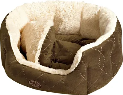 Produktbild von Nobby Komfortbett "CENO" L x B x H: 45 x 40 x 19 cm beige / braun