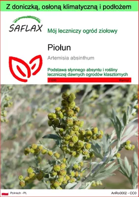 Zdjęcie produktu dla SAFLAX - Garden to go - Piołun - 500 Nasiona - Z doniczką, pokrywą klimatyczną i podłożem do uprawy - Artemisia absinthum