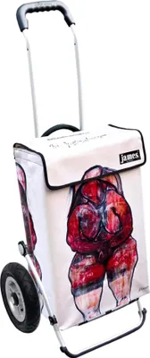 Produktbild von James Einkaufstrolley - MATTERSBERGER - stabiler Einkaufswagen mit individuellem Design - einfarbig: rot in Ausführung: Royal-Luftraeder