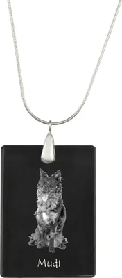 Image de Mudi - Pendentif en cristal avec chien, collier en argent avec photo, pendentif personnalisé de la marque Art-Dog
