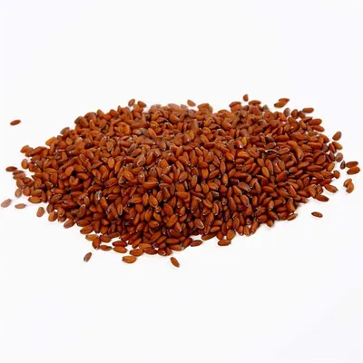Produktbild von Kressesamen, 30 g/ 1 Btl. [HOB-23345]