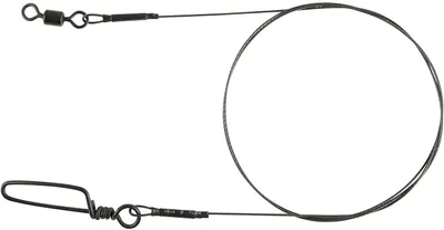 Produktbild von Spro Mb Leader Titanium 1X7W 50 cm 77Lb