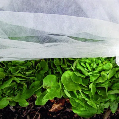 Produktbild von Noor Gartenvlies Schutzvlies 1,5x10m 15gr Frühbeetvlies; 01115010SCHW