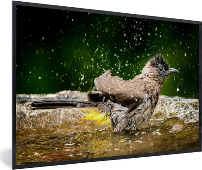 Produktbild von MuchoWow® MuchoWow® Gerahmtes Poster Vogel - Vogeltränke - Wasser 90x60 cm - Poster mit zchwarzem Bilderrahmen - Fotorahmen - Foto-Plakat