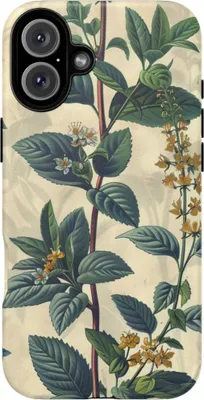 Produktbild von Vintage-Kräuterdesign mit botanischem Muster – Hülle Kompatibel mit iPhone 16 Plus