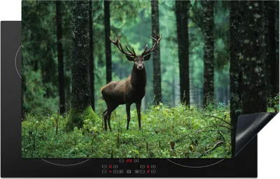 Produktbild von KitchenYeah© Herdabdeckplatte Hirsche - Wald - Bäume - Tiere - Natur , 83x51cm, Küche Deko, Glaskeramikkochfeld Herdabdeckung, Abdeckplatte fùr Kochfeld