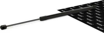 Produktbild von RIDEX 219G0005 Gasfeder Heckklappendämpfer für RENAULT SCÉNIC II (JM0/1) 519mm