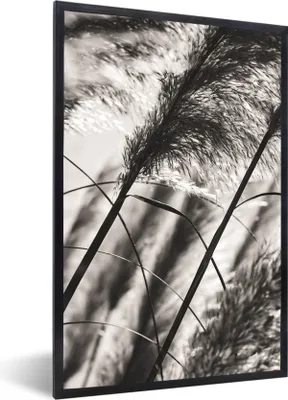 Produktbild von MuchoWow® Gerahmtes Poster Pampasgras - Schwarz - Weiß - Pflanze 60x90 cm - Poster mit Schwarzem Bilderrahmen Wandposter Rahmen Foto Bilder - Kunst