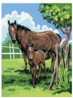 Produktbild von Malen nach Zahlen Bild Junior 33x24cm Stute