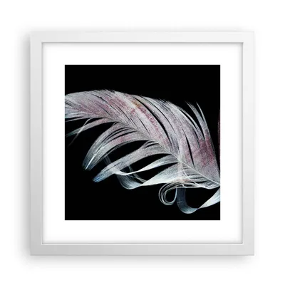 Produktbild von Gerahmtes Poster - Weißer Rahmen - Feder die Farben Zartheit - 30x30 cm - Wand Bild - Wanddeko - Wandbilder - Kunstposter - Wandposter - Bilderrahmen - Bilder - Kunstdruck - P2WAC30x30-4959