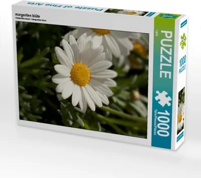 Produktbild von CALVENDO Puzzle margeriten blüte | 1000 Teile Lege-Größe 64x48cm Foto-Puzzle für glückliche Stunden