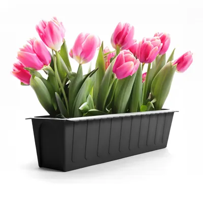 Produktbild von BigDean Blumenkästen, 24er Set, hochwertiger Kunststoff, Anthrazit, Palettenoptik, 14 cm Breite, UV-stabil & wetterbeständig, für Balkon, Kräuter & Pflanzen
