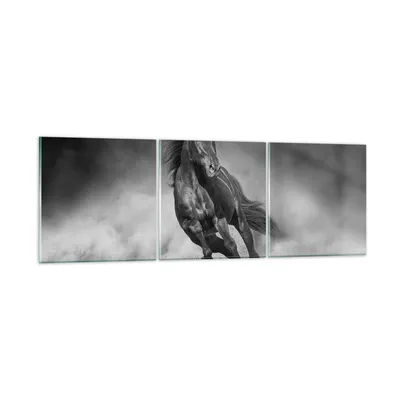 Produktbild von Bilder auf glas - 3 Teile - Pferd Galopp dynamisch - 90x30cm - Glasbilder - Wandbilder - Bilder - zum Aufhängen bereit - Wanddekoration aus Glas - Glas Bilder - Wandbild auf Glas - GCA90x30-5023