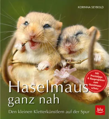 Produktbild von Haselmaus ganz nah