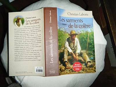 Produktbild von Les sarments de la colère