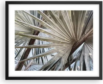 Produktbild von Gerahmtes Poster - Schwarzer Rahmen - Blatt Palme Natur - 50x40 cm - Wand Bild - Wanddeko - Wandbilder - Kunstposter - Wandposter - Bilderrahmen - Bilder - Kunstdruck - P2BAA50x40-5056