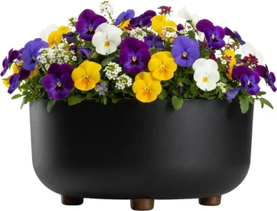 Zdjęcie produktu dla HowHomely | Donica – czarny – 30 x 14 cm (wysokość) – donica na nóżkach – z tworzywa sztucznego – donica ogrodowa