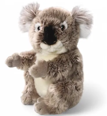 Obrázok produktu pre Carl Dick Koala medveď cca 22cm, plyšová hračka, plyšová hračka, plyšák 3681