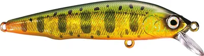 Obrázek produktu pro Shimano Fishing Cardiff Flügel Flat 70 Gold Yamame 7 cm 5 g Wobler