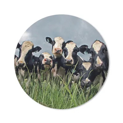 Produktbild von MuchoWow® Mauspad Mousepad Kuh - Wolken - Gras - Tiere 20x20 cm - Mousepads - Maus Mat - Pad - Mausunterlage - Schreibtischmatte