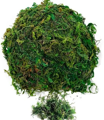 Obrázek produktu pro Umělé mech 200 g, zelený, pro dekorace a terária