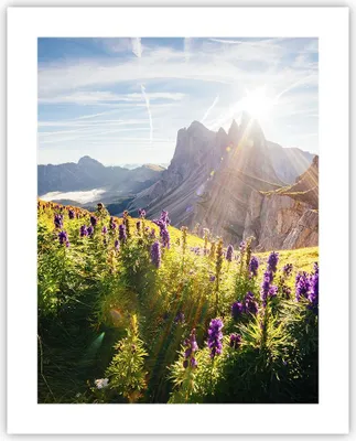 Produktbild von Poster - Poster ohne Rahmen - Berge Wiese Blumen - 40x50 cm - Wand Bild - Wanddeko - Wandbilder - Kunstposter - Wandposter - Bilder - Kunstdruck - Wanddekoration - Wandbild - P2XPA40x50-4008