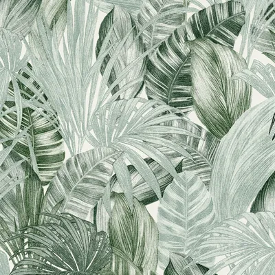 Produktbild von A.S. Création Palmentapete Greenery Dschungeltapete Vliestapete grün weiß 10,05 m x 0,53 m