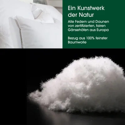 Produktbild von HANSKRUCHEN Daunendecke 240x220 cm extra Leicht 90% Daunen waschbar Allergiker Kassettendecke atmungsaktiv Bettdecke weiß - Premium de Luxe