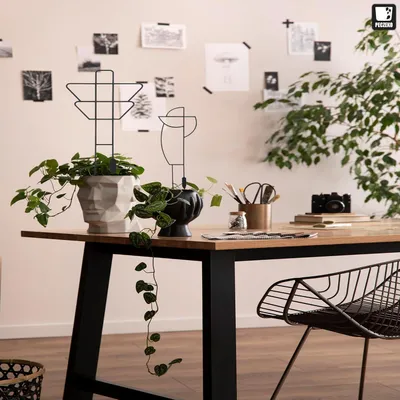 Produktbild von Kunststof Klimhilfen für Zimmer- und Gartentöpfe - 2 Stück - Dekorative Blumenstützen und Rankroste für Pflanzen - Halbrunde schwarze Pflanzenstützen
