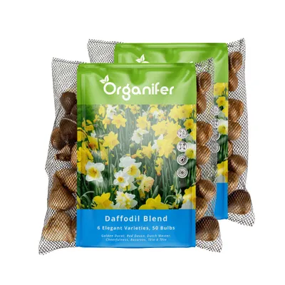 Obrázek produktu pro 100 cibulek Narcisů – 6 elegantních odrůd (velikost XXL cibulky 12/14 cm) - Organifer