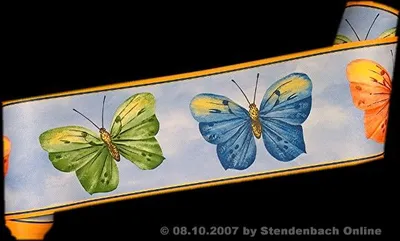 Produktbild von Borte Bordüre Kinderzimmer Schmetterlinge