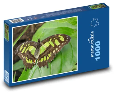 Obrázek produktu pro Puzzle 1000 Motýl na zelených listech - martinpuzzle