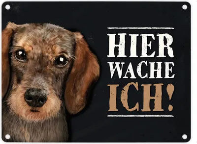 Produktbild von Metallschild mit Dackel Motiv und Spruch: Hier wache ich! Metallschild
