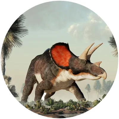 Produktbild von Sticker Kreis für Kinder DINOSAURIER Bäume Pflanzen Natur Kinderzimmer Jugendzimmer Wanddeko Aufkleber 100 cm x 100 cm