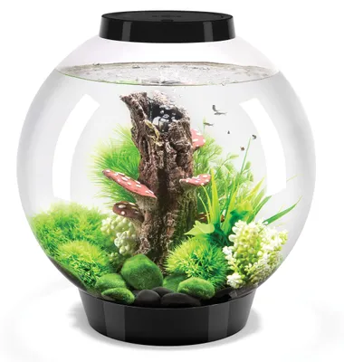 Zdjęcie produktu dla Akwarium biOrb CLASSIC 30 LED czarne