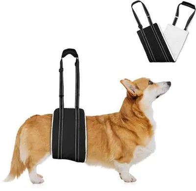Immagine prodotto di Ultiluxe Aiuto per cane - Pettorale posteriore - Supporto per sollevamento - Ausilio per mobilità - Regolabile - Accessori per animali domestici - Ner