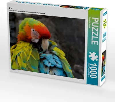 Produktbild von Calvendo Ara 1000 Teile Puzzle quer 640x480mm, Beuck Angelika; 7286289