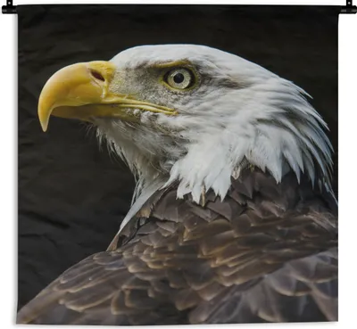 Produktbild von MuchoWow® Wandteppich Wandbehang Adler - Vogel - Gelb 150x150 cm Tapisserie Dekoration Wandtuch - Wohnaccessoires - Modernes