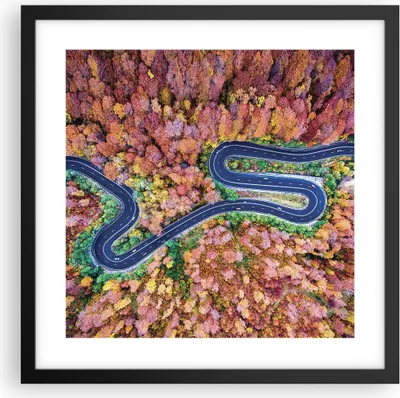 Produktbild von Gerahmtes Poster - Schwarzer Rahmen - Kurvenreich Weg Wald - 40x40 cm - Wand Bild - Wanddeko - Wandbilder - Kunstposter - Wandposter - Bilderrahmen - Bilder - Kunstdruck - Wandbild - P2BAC40x40-4291