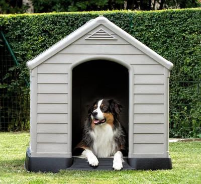 Immagine prodotto di Cuccia per cani