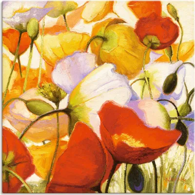 Produktbild von ARTland Leinwandbild Mohnblumen aus der Nähe Größe: 50x50 cm