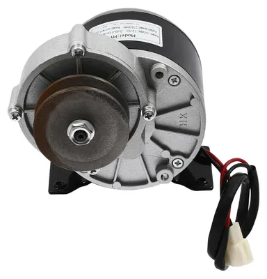 Image de Moteur à engrenages à courant continu - MY1016Z - 250 W - 2 750 tr/min - Réducteur hypoïde - Moteur à balais - Pour trottinette électrique/vélo électrique